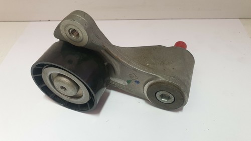 Tendicinghia alternatore per