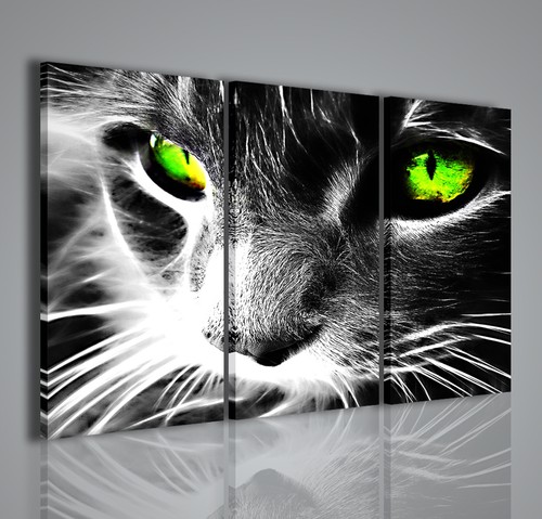 Quadri moderni surreal cat - cat, iii