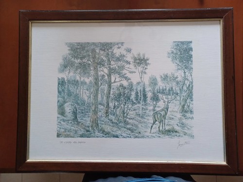 Quadro benetto cervo - quadro, ""cervo