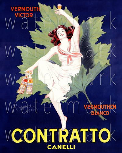 Contratto canelli vermouth - contratto,