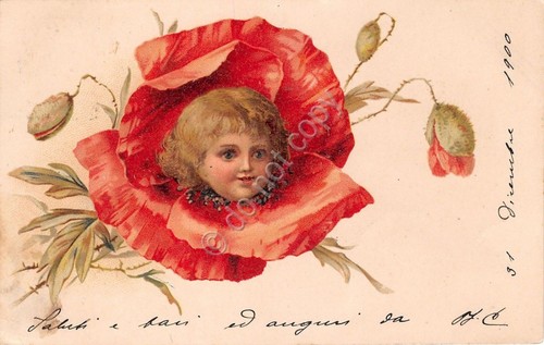 Cartolina illustrata - cartolina,