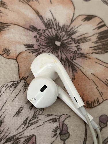 Apple auricolari con - apple,