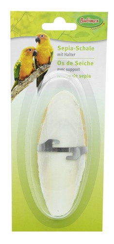 Osso seppia per uccello - seppia,