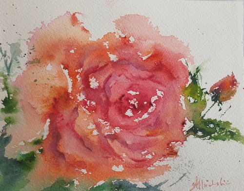 Rosa con bocciolo acquerello - bocciolo,,