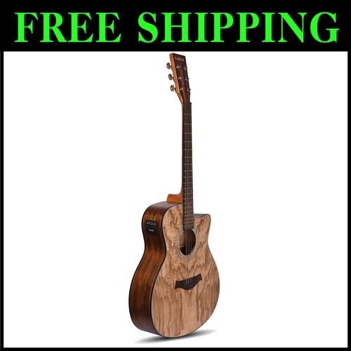 Chitarra elettrica acustica - , in