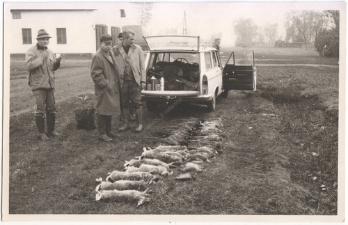 Rppc italia foto - foto, anni
