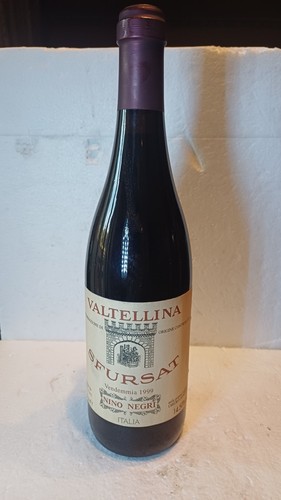 Sfursat valtellina 1999 - , nino