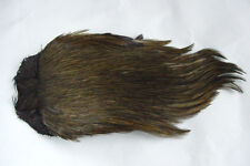 Collo di gallo indianoOLIVE