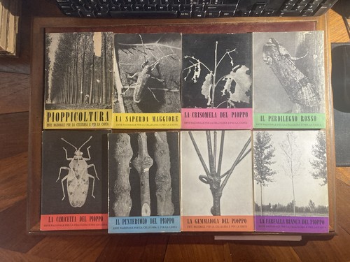 Lotto libri pioppicoltura - libri,