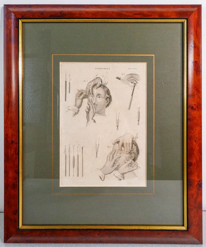 Grafica 1800 pastore - ⚜️,