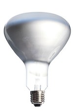 Lampadina 500W 220V (Ex