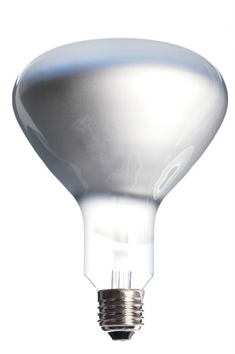 Lampadina 500w 220v - 500w, (ex