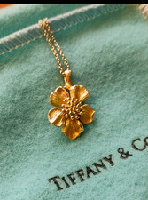 Rara collana Tiffany & Co