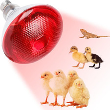 Lampada Infrarossi Riscaldante, 250W Reptile Lampada Riscaldantes, Lampadina Ris