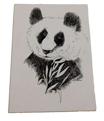 Orso panda bianco nero - panda,