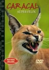Caracal, super félin -  - V449205