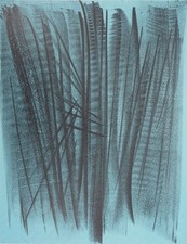 Hans HARTUNG: Speranza -