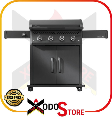 Barbecue piastra gas - barbecue,