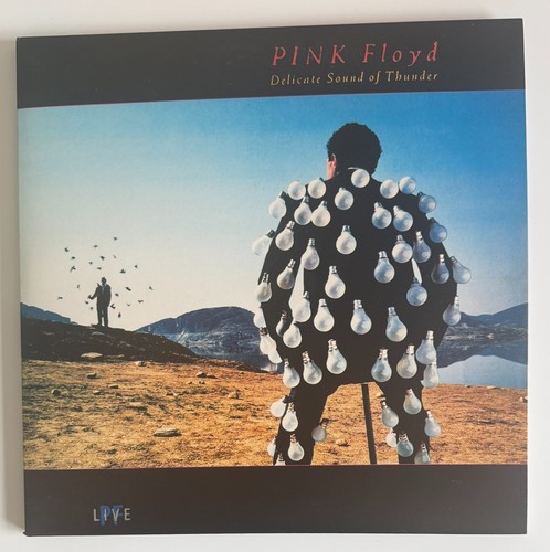 Pink floyd delicate sound - delicate,