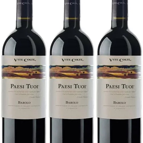 Bottiglie vino rosso barolo - vino,