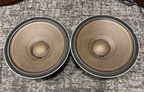Coppia altoparlanti woofer - , 15"