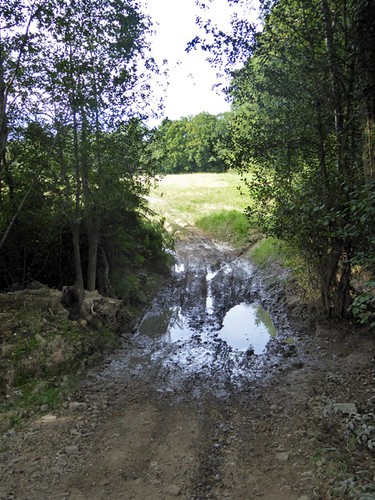 Photo 6x4 track - 6x4, fields
