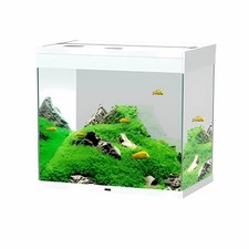 Acquario ciano emotions - ciano,
