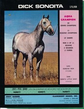 Pubblicità rivista - 1971 -