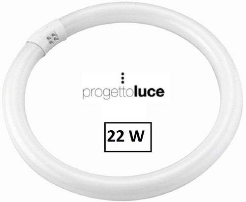 Lampada neon circolare 22w - neon,