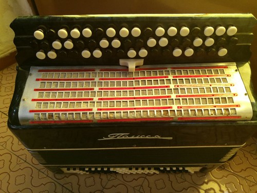 Fisarmonica bottoni - fisarmonica,