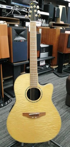 Chitarra elettrica acustica