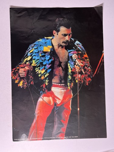 Queen freddie mercury poster - freddie,