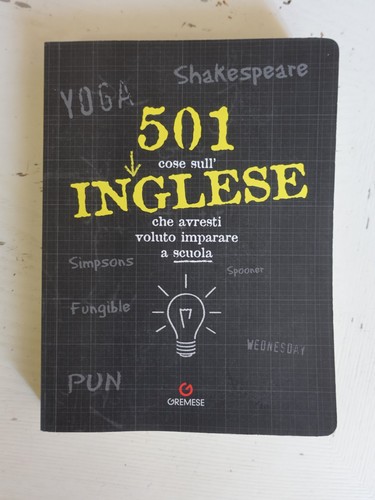 501 cose sull inglese - 501, sull'inglese