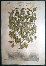 Stampa antica MATTIOLI