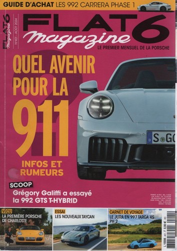 Flat 401 2024 - 2024, porsche