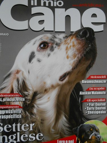 Mio cane 2019 - il,