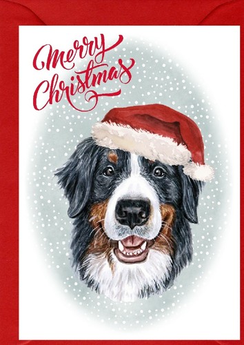 Biglietto natale bernese - natale,