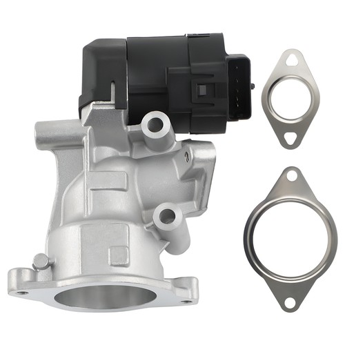 Valvola egr for - for, e
