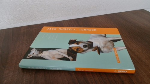 Jack russell terrier e - jack,