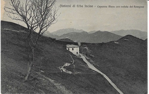 Erba incino como capanna - incino,