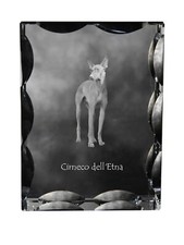 Cirneco dell etna cristallo - dell'etna,