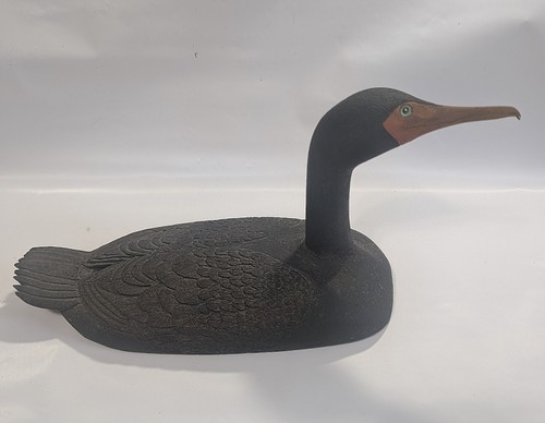 Double crested cormorant hand - cormorant,,