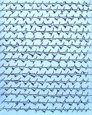 Alfredo Rapetti Mogol Acrilici