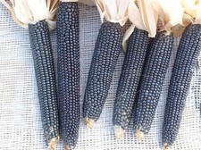 Pistone 30-40 cm - Sto