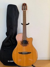 Chitarra acustica-elettrica