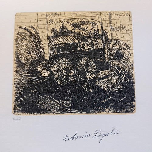 Antonio ligabue lotta tra - antonio,