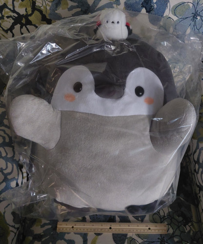 Koupen chan pinguino - chan,