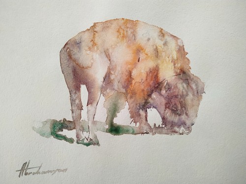 Bisonte animale opera - opera, d'arte
