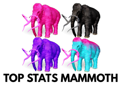Mammoth top stats clone - top,