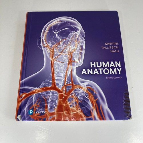 Human anatomy hardcover - human,